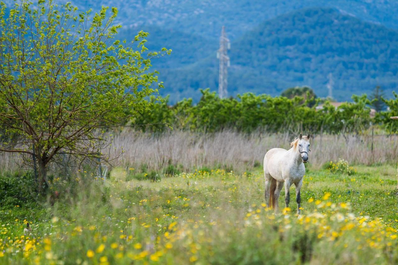 Traumhafte Finca Son Senyor - Mit Pferdekoppel Sa Pobla Exterior foto