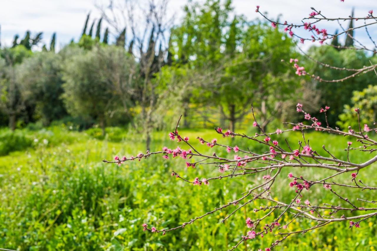 Traumhafte Finca Son Senyor - Mit Pferdekoppel Sa Pobla Exterior foto